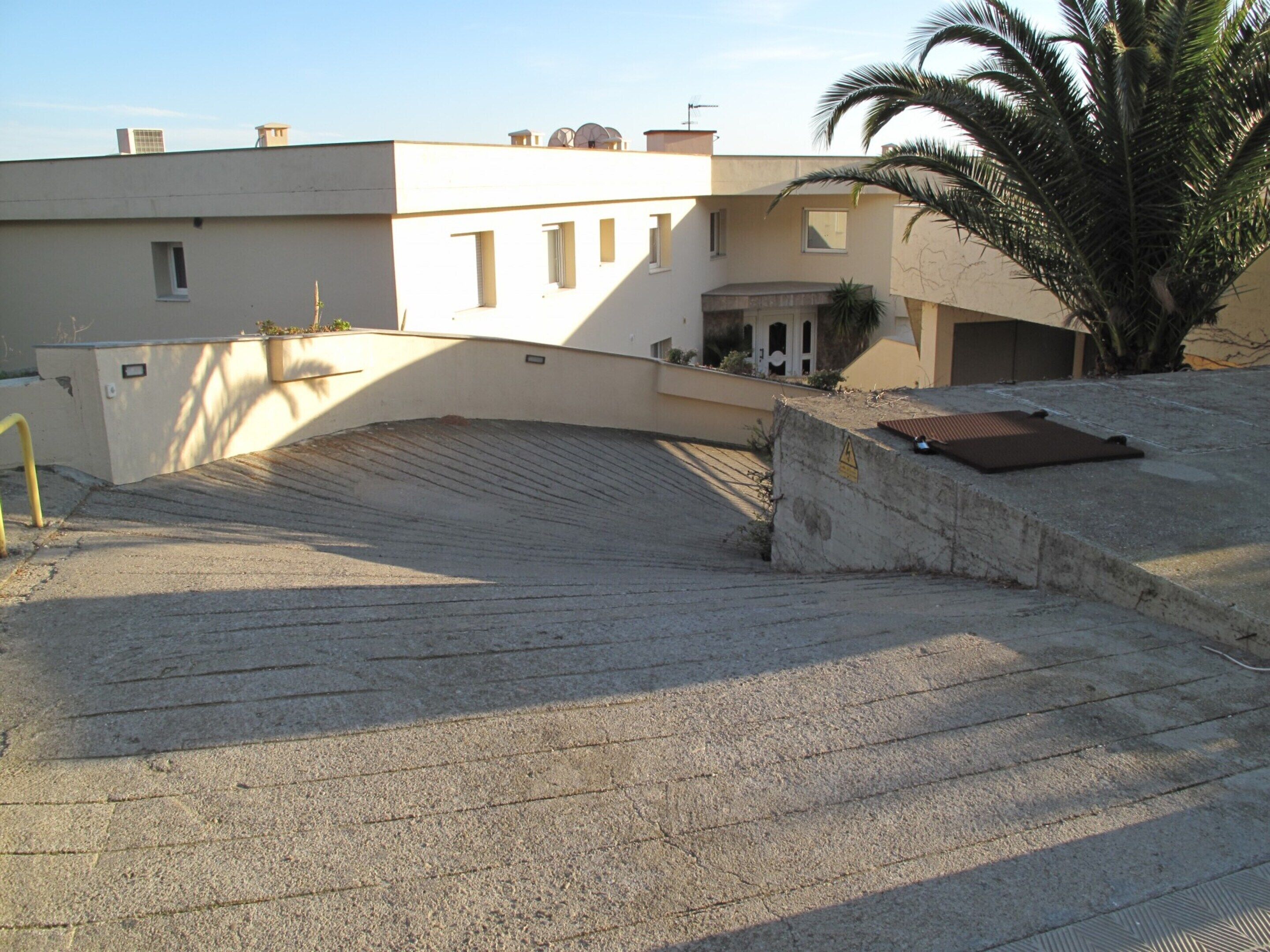 A building with a sloped roof, a palm tree, and a concrete ramp leading to the entrance.