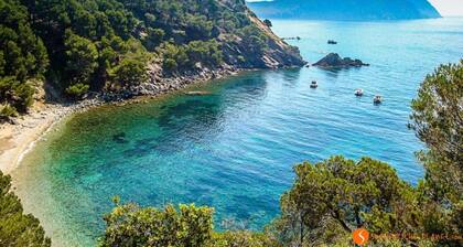 Apartment in Roses Near Sandy Beach