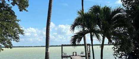Piscine extérieure, chaises longues