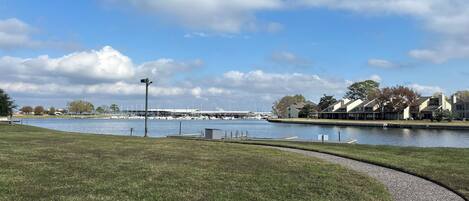 A waterfront park with a grassy area, a walking path, and a marina with boats.