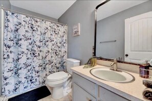 Bathroom features a shower curtain, toilet, sink with modern faucet, and a mirror.