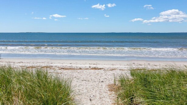 En strand med en sti af sand, der fører til havet, omgivet af græs.