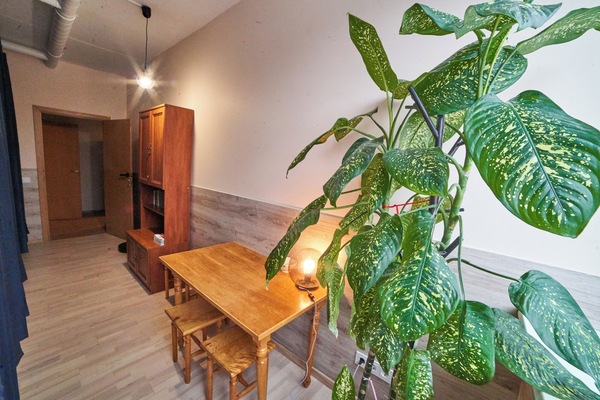 Basic Shared Dormitory, Mixed Dorm, Non Smoking | Free WiFi, bed sheets