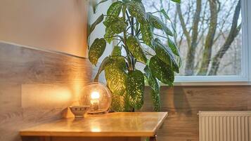 Basic Shared Dormitory, Mixed Dorm, Non Smoking