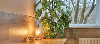 Tokyo Vibes Hostel with more privacy (Self Check in)