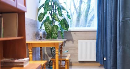 Tokyo Vibes Hostel with more privacy (Self Check in)