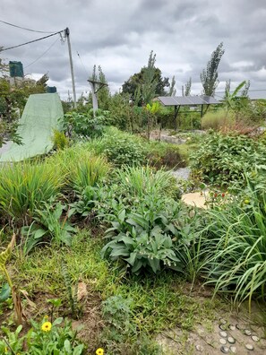 Terrain de l’hébergement 