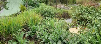 Charming cottage in Lusaka located 5 minutes from Airport with AC, and Wi-Fi.