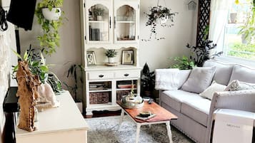 Smart TV, fireplace, video games, computer monitors