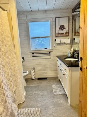 Shower, hair dryer, bidet, towels