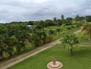 Property grounds - La Maison Aseta in Grand Bourg (Grand-Bourg)