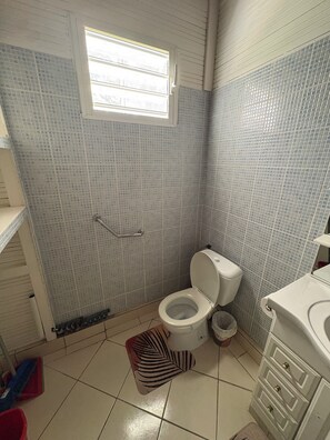 A bathroom with a toilet, a shower area, and a window. - La Palmeraie (formerly Maison Hator) in Grand-Bourg (Grand-Bourg)