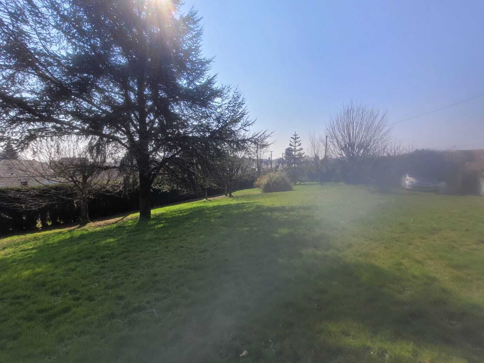 A grassy outdoor area with trees and a clear sky.