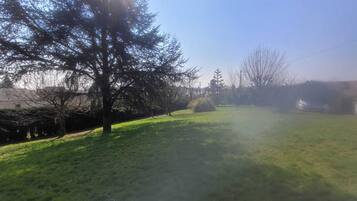 A grassy outdoor area with trees and a clear sky.