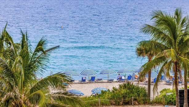 A beach with blue umbrellas, palm trees, and a view of the ocean.