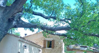 Sous un chĂȘne bicentenaire.
Chambre/Salle de bain calme et spacieuse.
Parking G