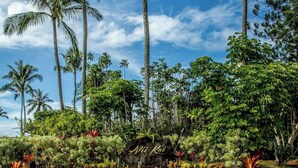 Un jardin tropical avec un panneau en pierre sur lequel on peut lire « Alii Kai », le tout entouré d’une végétation luxuriante et de palmiers.