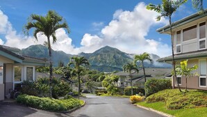 A residential street with houses, palm trees, and a mountain in the background. - New Deluxe A/C Home, Spectacular Mountains Views (Princeville)