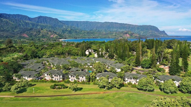 A residential area with houses surrounded by lush greenery and a view of the ocean. - New Deluxe A/C Home, Spectacular Mountains Views (Princeville)