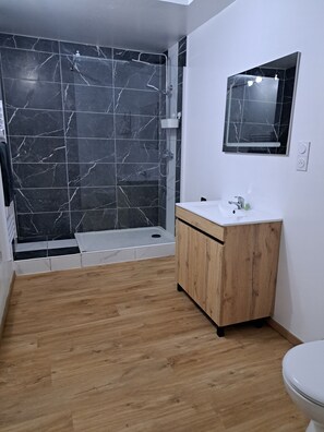 Ducha, secador de pelo, toallas y papel higiénico