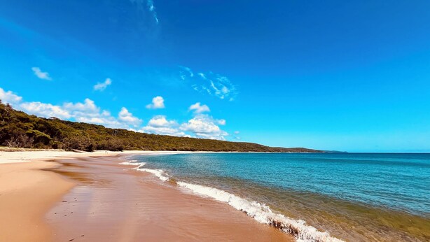 A beach with clear blue water and a sandy shore. - Agnes Break | 3BR · Sauna & Walk to Beach (Agnes Water)