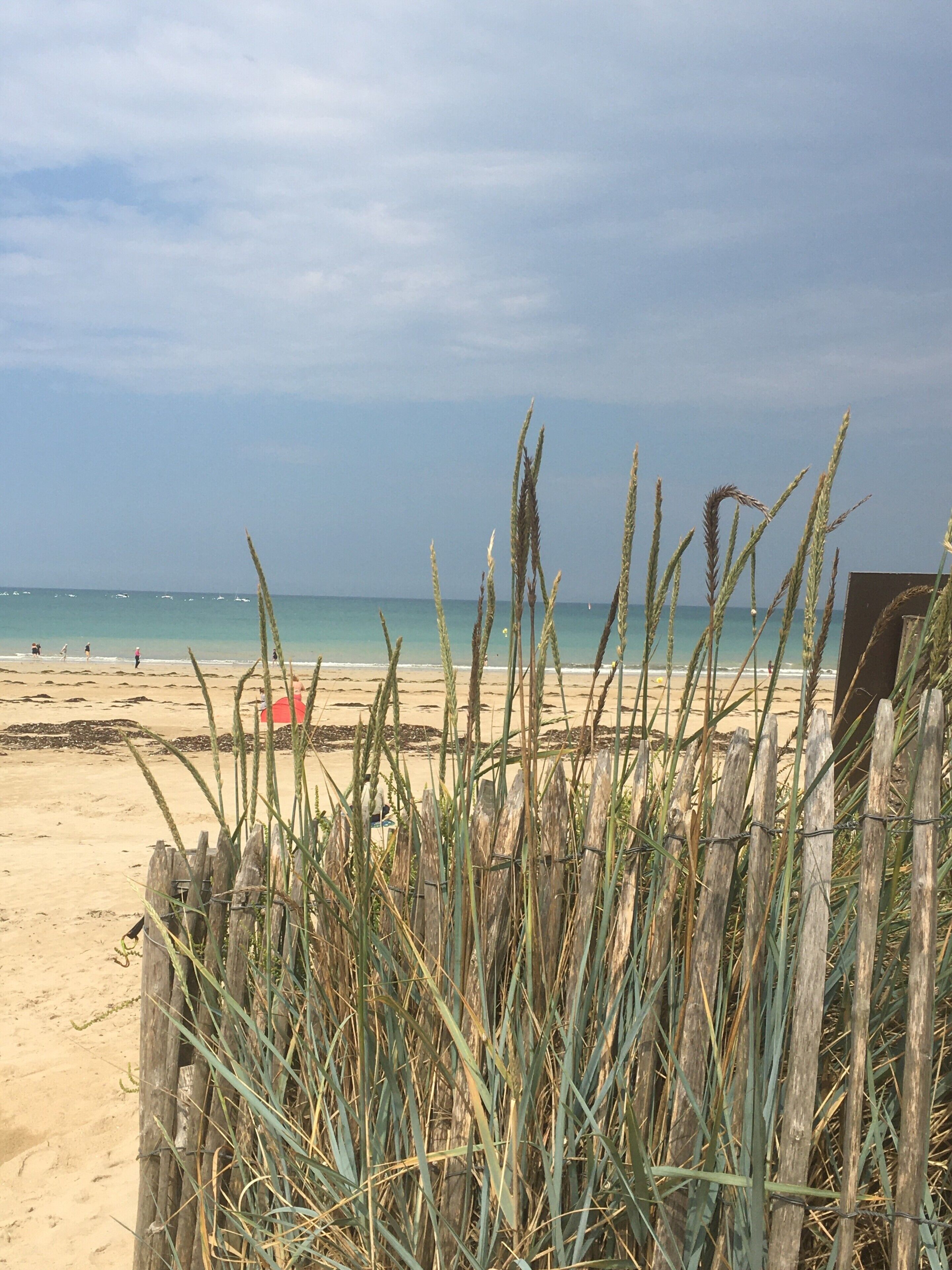 Une plage avec une clôture en bois et de hautes herbes au premier plan, une plage de sable, et l’océan en arrière-plan.