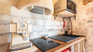 Frigorífico, microondas, horno y placa de cocina