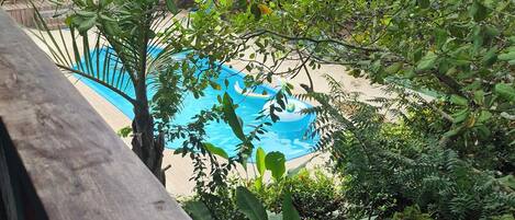 Vista de una piscina rodeada de exuberante follaje y una terraza de madera.