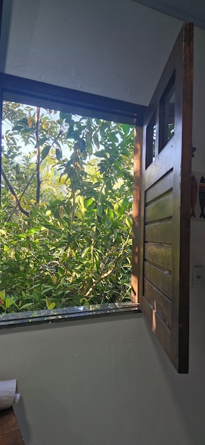 Vista desde la habitación