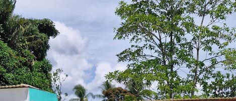 Kolam renang terbuka
