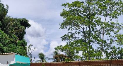 Cores de Boipeba