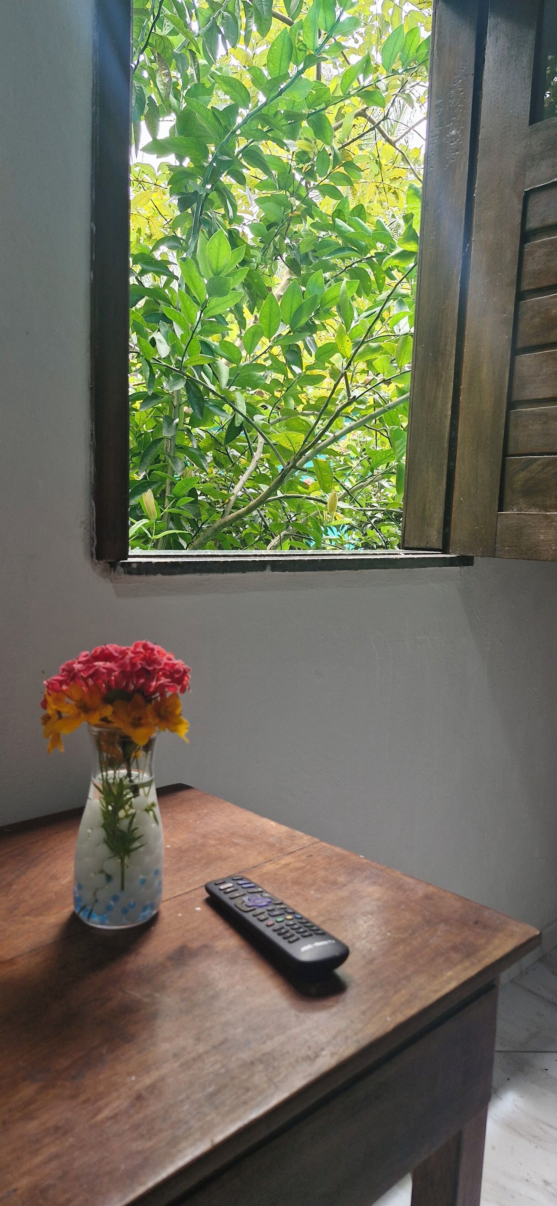 A window with a view of green foliage, a vase with flowers, and a remote control on a wooden table.