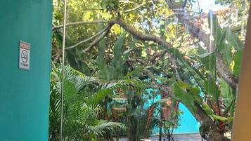 Comfort Apartment, Lanai, Pool View | View from room