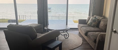 Smart TV, fireplace, DVD player, music library