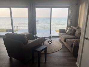 Smart TV, chimenea, reproductor de DVD y biblioteca musical