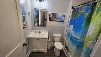 Shower, hair dryer, bidet, towels