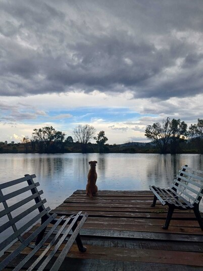 Perla Negra Tapalpa cabin