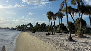 A beach with palm trees and a clear sky.