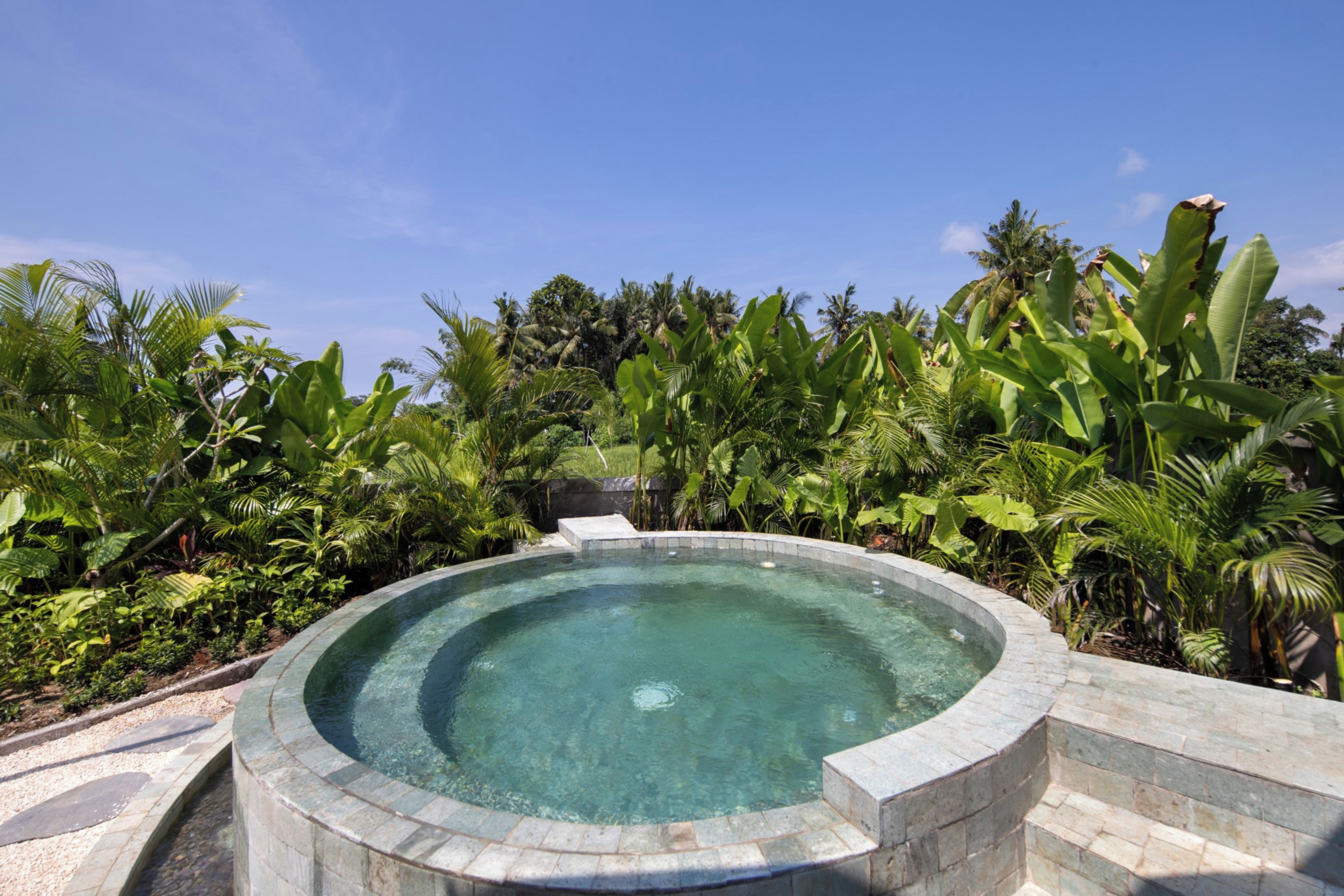 A circular pool surrounded by lush tropical vegetation.