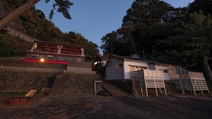 Una zona residencial con una casa, una escalera y un árbol grande.