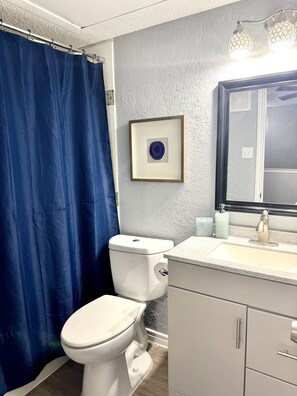 Hair dryer, towels, soap, toilet paper