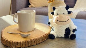 Una sala de estar acogedora con un sofá, una lámpara, una mesa de centro con una taza y una cuchara, una planta en maceta y un peluche.
