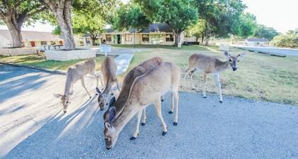 Charming 2-bedroom apartment in welcoming Leander with AC, Game room, WiFi