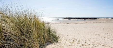 A sandy beach with grass in the foreground and a clear sky.