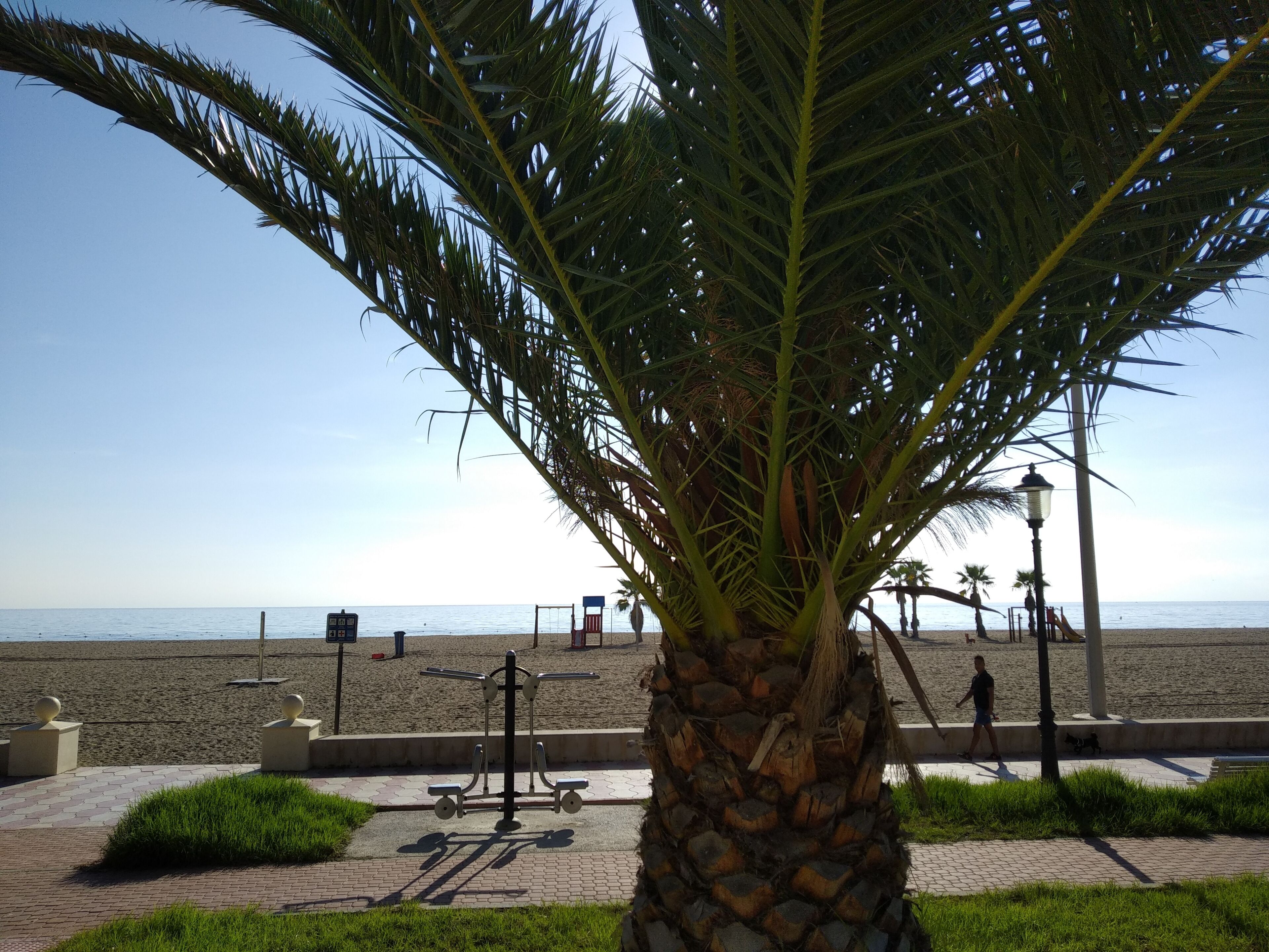 Playa