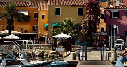 The Blue Octopus of Rio nell'Elba