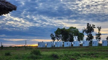 Classic Single Room | Desk, laptop workspace, free WiFi