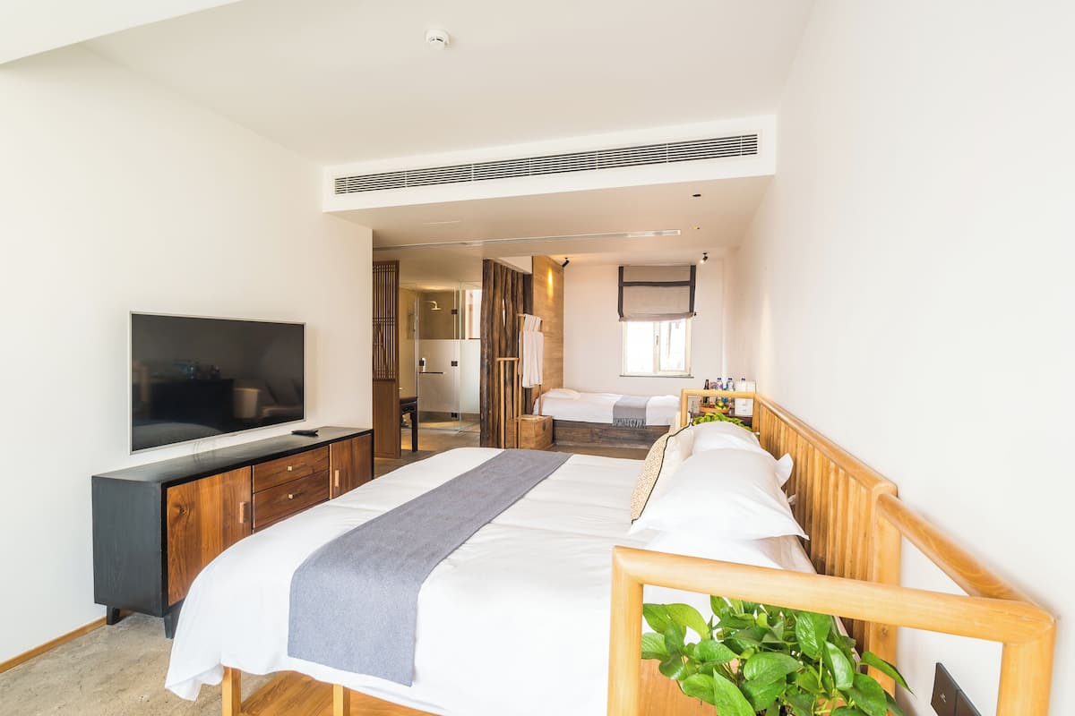 A modern hotel room with a large bed, a TV, a wooden headboard, and a plant.