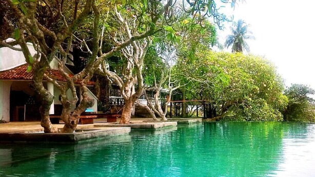 A serene pool area with trees and a building in the background. - Closenberg Hotel  (Galle)