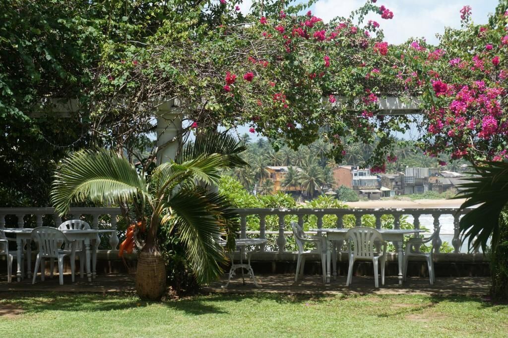 Un espace extérieur aménagé avec des chaises et des tables en plastique blanc, entouré d’une végétation luxuriante et d’arbres en fleurs.